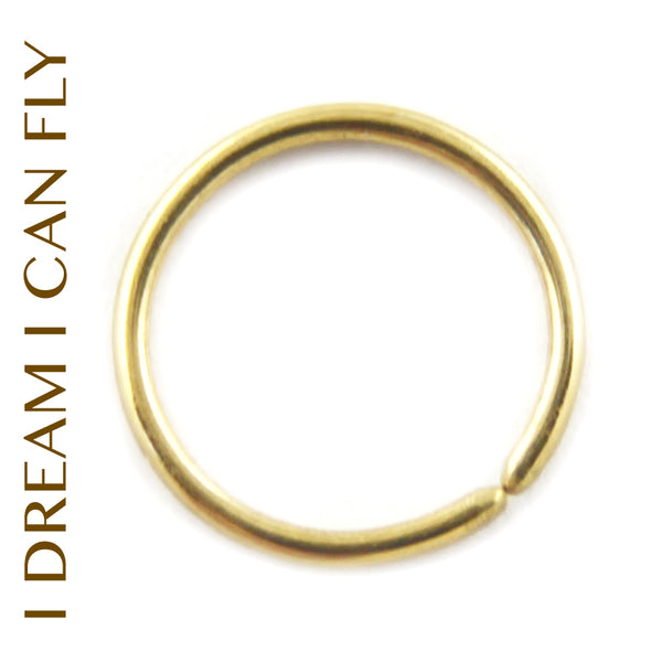 24k Gold Seamless Nose Ring / Hoop Earring, 18 gauge (multiple sizes) – I  Dream I Can Fly